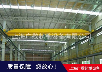 崇明區(qū)雙梁起重機(jī)