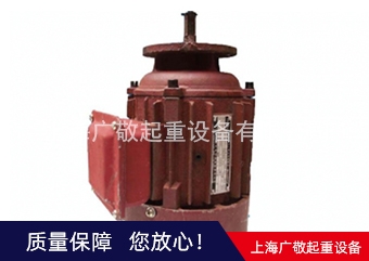 呼倫內(nèi)爾總廠(chǎng)電機(jī)  6級(jí)電機(jī) 8級(jí)電機(jī)廠(chǎng)家批發(fā)