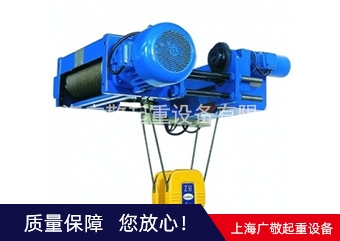 青浦區(qū)電動葫蘆 環(huán)鏈電動葫蘆廠家批發(fā)