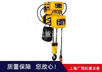 萊蕪進(jìn)口電動(dòng)葫蘆 環(huán)鏈電動(dòng)葫蘆 鋼絲繩電動(dòng)葫葫蘆廠家